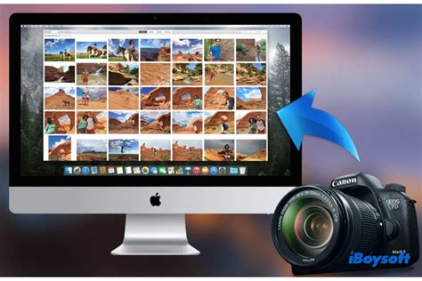 Import from a camera or phone in Photos on Mac 